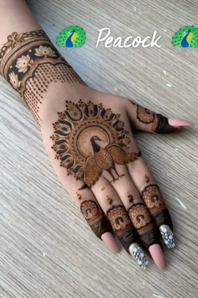 Peacock Circle Pattern 