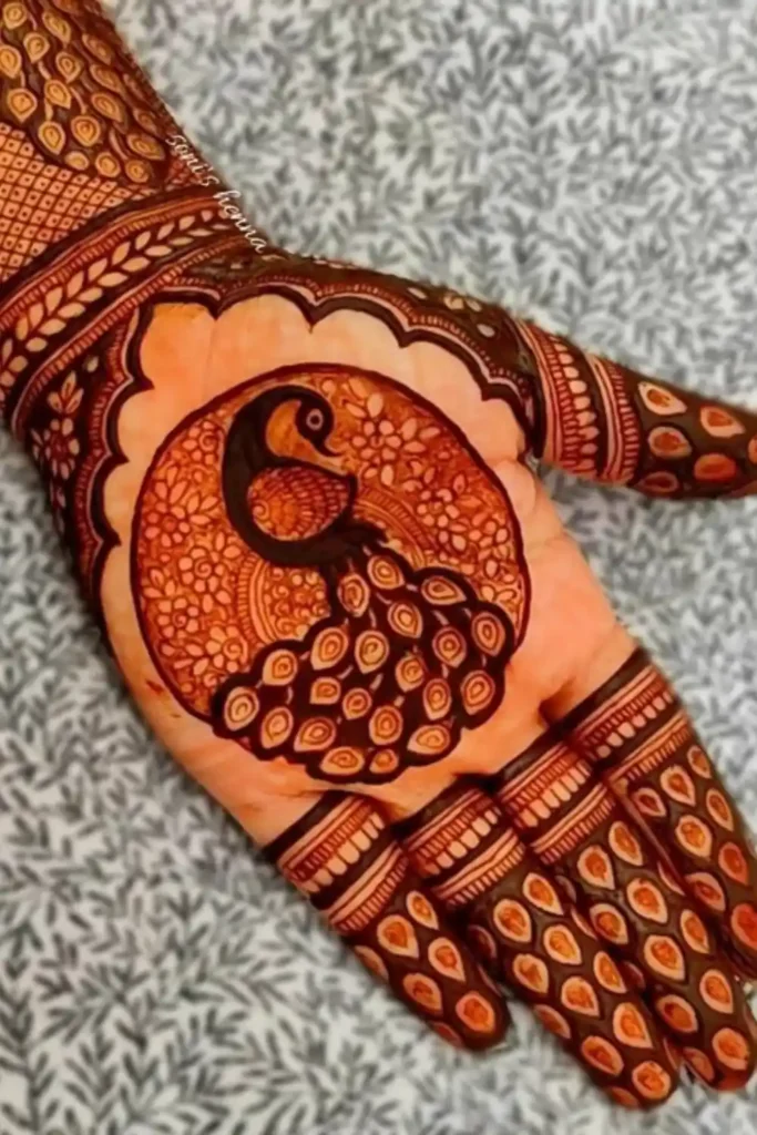 Peacock Circle Pattern 